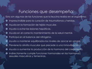 Funciones que desempeña:
Esta son algunas de las funciones que la leucina realiza en el organismo:
 Imprescindible para la curación de traumatismos y heridas.

 Ayuda en la formación de tejido muscular.
 Ayuda a evitar las lesiones hepáticas.
 Ayuda en el correcto mantenimiento de la salud mental.
 Participa en el balance del nitrógeno.
 Ayuda a mantener equilibrados los niveles de azúcar en sangre.
 Previene la atrofia muscular que precede a una inmovilización.
 Ayuda a aumentar la producción de la hormona del crecimiento.
 Indirectamente cumple funciones hormonales en las hormonas
sexuales masculinas y femeninas.

 
