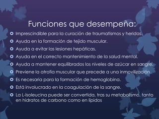 Funciones que desempeña:
 Imprescindible para la curación de traumatismos y heridas.

 Ayuda en la formación de tejido muscular.
 Ayuda a evitar las lesiones hepáticas.
 Ayuda en el correcto mantenimiento de la salud mental.
 Ayuda a mantener equilibrados los niveles de azúcar en sangre.
 Previene la atrofia muscular que precede a una inmovilización.
 Es necesaria para la formación de hemoglobina.
 Está involucrado en la coagulación de la sangre.

 La L-Isoleucina puede ser convertida, tras su metabolismo, tanto
en hidratos de carbono como en lípidos

 