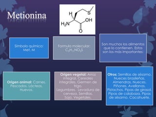 Metionina
Símbolo químico:
Met, M

Origen animal: Carnes.
Pescados. Lácteos.
Huevos.

Formula molecular:
C5H11NO2S

Origen vegetal: Arroz
integral. Cereales
integrales. Germen de
trigo.
Legumbres. Levadura de
cerveza. Semillas.
Soja. Vegetales.

Son muchos los alimentos
que lo contienen. Estos
son los más importantes:

Otros: Semillas de sésamo.
Nueces brasileñas.
Almendras. Nueces.
Piñones. Avellanas.
Pistachos. Pipas de girasol.
Pipas de calabaza. Pipas
de sésamo. Cacahuete.

 