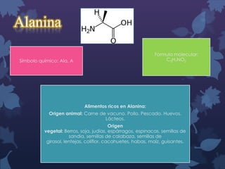Alanina
Formula molecular:
C3H7NO2

Símbolo químico: Ala, A

Alimentos ricos en Alanina:
Origen animal: Carne de vacuno. Pollo. Pescado. Huevos.
Lácteos.
Origen
vegetal: Berros, soja, judías, espárragos, espinacas, semillas de
sandia, semillas de calabaza, semillas de
girasol, lentejas, coliflor, cacahuetes, habas, maíz, guisantes.

 