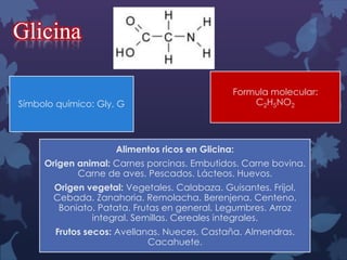 Glicina
Símbolo químico: Gly, G

Formula molecular:
C2H5NO2

Alimentos ricos en Glicina:
Origen animal: Carnes porcinas. Embutidos. Carne bovina.
Carne de aves. Pescados. Lácteos. Huevos.
Origen vegetal: Vegetales. Calabaza. Guisantes. Frijol.
Cebada. Zanahoria. Remolacha. Berenjena. Centeno.
Boniato. Patata. Frutas en general. Legumbres. Arroz
integral. Semillas. Cereales integrales.

Frutos secos: Avellanas. Nueces. Castaña. Almendras.
Cacahuete.

 