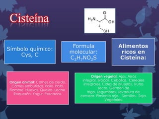 Cisteína
Símbolo químico:
Cys, C

Origen animal: Carnes de cerdo.
Carnes embutidas. Pollo. Pato.
Fiambre. Huevos. Quesos. Leche.
Requesón. Yogur. Pescados.

Formula
molecular:
C3H7NO2S

Alimentos
ricos en
Cisteína:

Origen vegetal: Ajos. Arroz
integral. Brócoli. Cebollas. Cereales
integrales. Coles de Bruselas. Frutos
secos. Germen de
trigo. Legumbres. Levadura de
cerveza. Pimiento rojo. Semillas. Soja.
Vegetales.

 