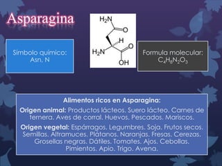 Asparagina
Símbolo químico:
Asn, N

Formula molecular:
C4H8N2O3

Alimentos ricos en Asparagina:
Origen animal: Productos lácteos. Suero lácteo. Carnes de
ternera. Aves de corral. Huevos. Pescados. Mariscos.
Origen vegetal: Espárragos. Legumbres. Soja. Frutos secos.
Semillas. Altramuces. Plátanos. Naranjas. Fresas. Cerezas.
Grosellas negras. Dátiles. Tomates. Ajos. Cebollas.
Pimientos. Apio. Trigo. Avena.

 