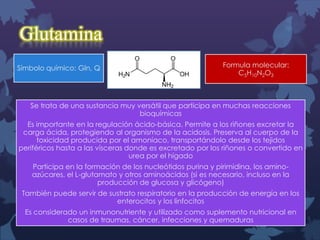 Glutamina
Símbolo químico: Gln, Q

Formula molecular:
C5H10N2O3

Se trata de una sustancia muy versátil que participa en muchas reacciones
bioquímicas
Es importante en la regulación ácido-básica. Permite a los riñones excretar la
carga ácida, protegiendo al organismo de la acidosis. Preserva al cuerpo de la
toxicidad producida por el amoníaco, transportándolo desde los tejidos
periféricos hasta a las vísceras donde es excretado por los riñones o convertido en
urea por el hígado

Participa en la formación de los nucleótidos purina y pirimidina, los aminoazúcares, el L-glutamato y otros aminoácidos (si es necesario, incluso en la
producción de glucosa y glicógeno)
También puede servir de sustrato respiratorio en la producción de energía en los
enterocitos y los linfocitos
Es considerado un inmunonutriente y utilizado como suplemento nutricional en
casos de traumas, cáncer, infecciones y quemaduras

 