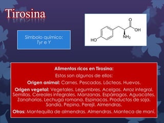 Tirosina
Símbolo químico:
Tyr e Y

Alimentos ricos en Tirosina:
Estos son algunos de ellos:
Origen animal: Carnes. Pescados. Lácteos. Huevos.
Origen vegetal: Vegetales. Legumbres. Acelgas. Arroz integral.
Semillas. Cereales integrales. Manzanas. Espárragos. Aguacates.
Zanahorias. Lechuga romana. Espinacas. Productos de soja.
Sandia. Pepino. Perejil. Almendras.
Otros: Mantequilla de almendras. Almendras. Manteca de maní.

 