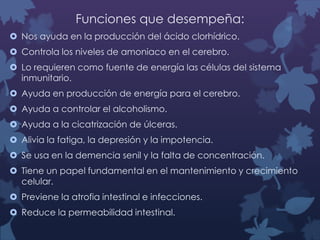 Funciones que desempeña:
 Nos ayuda en la producción del ácido clorhídrico.
 Controla los niveles de amoniaco en el cerebro.
 Lo requieren como fuente de energía las células del sistema
inmunitario.
 Ayuda en producción de energía para el cerebro.
 Ayuda a controlar el alcoholismo.
 Ayuda a la cicatrización de úlceras.
 Alivia la fatiga, la depresión y la impotencia.
 Se usa en la demencia senil y la falta de concentración.
 Tiene un papel fundamental en el mantenimiento y crecimiento
celular.
 Previene la atrofia intestinal e infecciones.
 Reduce la permeabilidad intestinal.

 