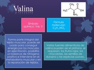 Valina
Símbolo
químico: Val, V

Forma parte integral del
tejido muscular, puede ser
usado para conseguir
energía por los músculos
en ejercitación, posibilita
un balance de nitrógeno
positivo e interviene en el
metabolismo muscular y en
la reparación de tejidos.

Fórmula
molecular:
C5H11NO2

Varias fuentes alimenticias de
valina pueden ser el plátano, el
requesón, los frutos rojos, los
chocolates, las semillas de
durazno y las especias suaves.

 
