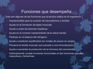 Funciones que desempeña: 
Esta son algunas de las funciones que la leucina realiza en el organismo: 
 Imprescindible para la curación de traumatismos y heridas. 
 Ayuda en la formación de tejido muscular. 
 Ayuda a evitar las lesiones hepáticas. 
 Ayuda en el correcto mantenimiento de la salud mental. 
 Participa en el balance del nitrógeno. 
 Ayuda a mantener equilibrados los niveles de azúcar en sangre. 
 Previene la atrofia muscular que precede a una inmovilización. 
 Ayuda a aumentar la producción de la hormona del crecimiento. 
 Indirectamente cumple funciones hormonales en las hormonas sexuales 
masculinas y femeninas. 
 