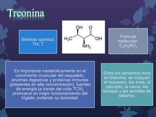 Treonina 
Símbolo químico: 
Thr, T 
Formula 
molecular: 
C4H9NO3 
Es importante metabólicamente en el 
crecimiento muscular del esqueleto, 
enzimas digestivas y proteínas inmunes 
(presentes en alta concentración), fuentes 
de energía (a través del ciclo TCA), 
promueve un mejor funcionamiento del 
hígado, evitando su toxicidad. 
Entre los alimentos ricos 
en treonina, se incluyen 
el requesón, las aves, el 
pescado, la carne, las 
lentejas y las semillas de 
sésamo. 
 