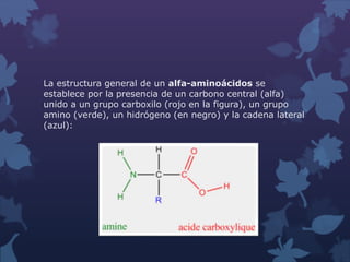 La estructura general de un alfa-aminoácidos se 
establece por la presencia de un carbono central (alfa) 
unido a un grupo carboxilo (rojo en la figura), un grupo 
amino (verde), un hidrógeno (en negro) y la cadena lateral 
(azul): 
 