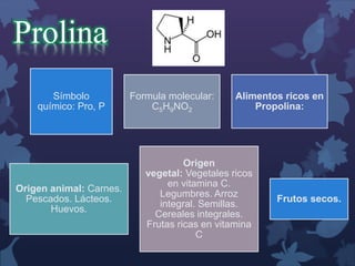 Prolina 
Símbolo 
químico: Pro, P 
Formula molecular: 
C5H9NO2 
Alimentos ricos en 
Propolina: 
Origen animal: Carnes. 
Pescados. Lácteos. 
Huevos. 
Origen 
vegetal: Vegetales ricos 
en vitamina C. 
Legumbres. Arroz 
integral. Semillas. 
Cereales integrales. 
Frutas ricas en vitamina 
C 
Frutos secos. 
 