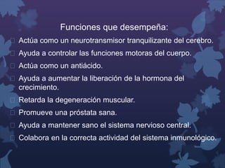 Funciones que desempeña: 
 Actúa como un neurotransmisor tranquilizante del cerebro. 
 Ayuda a controlar las funciones motoras del cuerpo. 
 Actúa como un antiácido. 
 Ayuda a aumentar la liberación de la hormona del 
crecimiento. 
 Retarda la degeneración muscular. 
 Promueve una próstata sana. 
 Ayuda a mantener sano el sistema nervioso central. 
 Colabora en la correcta actividad del sistema inmunológico. 
 