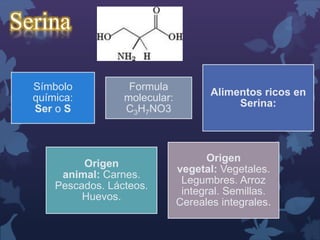 Serina 
Símbolo 
química: 
Ser o S 
Formula 
molecular: 
C3H7NO3 
Alimentos ricos en 
Serina: 
Origen 
animal: Carnes. 
Pescados. Lácteos. 
Huevos. 
Origen 
vegetal: Vegetales. 
Legumbres. Arroz 
integral. Semillas. 
Cereales integrales. 
 