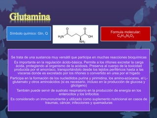 Glutamina 
Símbolo químico: Gln, Q Formula molecular: 
C5H10N2O3 
Se trata de una sustancia muy versátil que participa en muchas reacciones bioquímicas 
Es importante en la regulación ácido-básica. Permite a los riñones excretar la carga 
ácida, protegiendo al organismo de la acidosis. Preserva al cuerpo de la toxicidad 
producida por el amoníaco, transportándolo desde los tejidos periféricos hasta a las 
vísceras donde es excretado por los riñones o convertido en urea por el hígado 
Participa en la formación de los nucleótidos purina y pirimidina, los amino-azúcares, el L-glutamato 
y otros aminoácidos (si es necesario, incluso en la producción de glucosa y 
glicógeno) 
También puede servir de sustrato respiratorio en la producción de energía en los 
enterocitos y los linfocitos 
Es considerado un inmunonutriente y utilizado como suplemento nutricional en casos de 
traumas, cáncer, infecciones y quemaduras 
 