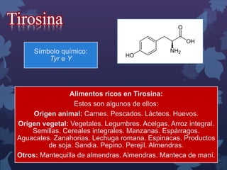 Tirosina 
Símbolo químico: 
Tyr e Y 
Alimentos ricos en Tirosina: 
Estos son algunos de ellos: 
Origen animal: Carnes. Pescados. Lácteos. Huevos. 
Origen vegetal: Vegetales. Legumbres. Acelgas. Arroz integral. 
Semillas. Cereales integrales. Manzanas. Espárragos. 
Aguacates. Zanahorias. Lechuga romana. Espinacas. Productos 
de soja. Sandia. Pepino. Perejil. Almendras. 
Otros: Mantequilla de almendras. Almendras. Manteca de maní. 
 