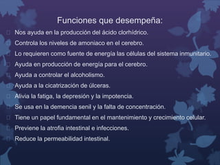 Funciones que desempeña: 
 Nos ayuda en la producción del ácido clorhídrico. 
 Controla los niveles de amoniaco en el cerebro. 
 Lo requieren como fuente de energía las células del sistema inmunitario. 
 Ayuda en producción de energía para el cerebro. 
 Ayuda a controlar el alcoholismo. 
 Ayuda a la cicatrización de úlceras. 
 Alivia la fatiga, la depresión y la impotencia. 
 Se usa en la demencia senil y la falta de concentración. 
 Tiene un papel fundamental en el mantenimiento y crecimiento celular. 
 Previene la atrofia intestinal e infecciones. 
 Reduce la permeabilidad intestinal. 
 