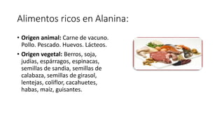 Alimentos ricos en Alanina: 
• Origen animal: Carne de vacuno. 
Pollo. Pescado. Huevos. Lácteos. 
• Origen vegetal: Berros...