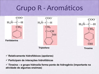 Grupo R - Aromáticos

Fenilalanina
Triptofano

Tirosina

 Relativamente hidrofóbicos (apolares)
 Participam de interações hidrofóbicas

 Tirosina – o grupo hidroxila forma ponte de hidrogênio (importante na
atividade de algumas enzimas)

 