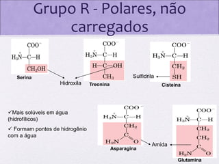 Grupo R - Polares, não
carregados
Sulfidrila

Serina

Hidroxila

Treonina

Cisteína

Mais solúveis em água
(hidrofílicos)
 Formam pontes de hidrogênio
com a água
Asparagina

Amida
Glutamina

 
