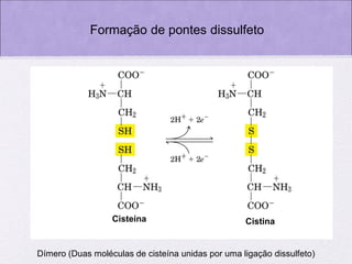 Formação de pontes dissulfeto

Cisteína

Cistina

Dímero (Duas moléculas de cisteína unidas por uma ligação dissulfeto)

 