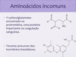 Aminoácidos incomuns
O

• Y-carboxiglutamato:
encontrado na
protrombina, uma proteína
importante na coagulação
sanguínea.

O

-

-

O

O
+

-

O

NH3

O

O
+

H3N
I

• Tiroxina: precursor dos
hormônios tireoidianos.

-

O

HO

I

I

O
I

 