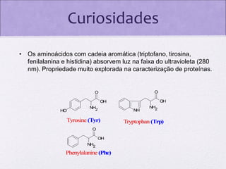 Curiosidades
• Os aminoácidos com cadeia aromática (triptofano, tirosina,
fenilalanina e histidina) absorvem luz na faixa do ultravioleta (280
nm). Propriedade muito explorada na caracterização de proteínas.

O

O

OH

OH
HO

NH2

Tyrosine (Tyr)
O
OH
NH2

Phenylalanine (Phe)

NH

NH2

Tryptophan (Trp)

 