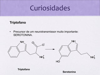 Curiosidades
Triptofano
• Precursor de um neurotransmissor muito importante:
SEROTONINA.
N
H

O

N
H

-

O

+

+

N 3
H

N 3
H
H
O

Triptofano
Serotonina

 