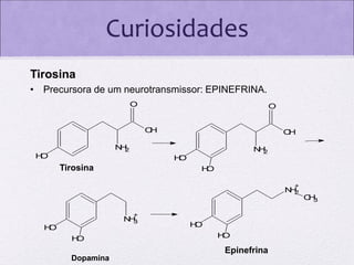 Curiosidades
Tirosina
• Precursora de um neurotransmissor: EPINEFRINA.
O

O
O
H

O
H

N2
H

N2
H

H
O

H
O

Tirosina

H
O
+

N2
H
+

N3
H
H
O
H
O

H
O
H
O

Epinefrina
Dopamina

C3
H

 