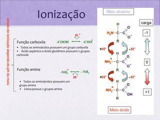 estado de ionização depende do pH do meio

Ionização
H+

Função carboxila

-

-COOH

-COO

• Todos os aminoácidos possuem um grupo carboxila
• Ácido aspártico e ácido glutâmico possuem 2 grupos
carboxila

Função amina

+
-NH3

- NH2
H+

• Todos os aminoácidos possuem um
grupo amina
• Lisina possue 2 grupos amina

 