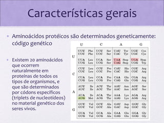 Características gerais
• Aminoácidos protéicos são determinados geneticamente:
código genético
• Existem 20 aminoácidos
que ocorrem
naturalmente em
proteínas de todos os
tipos de organismos, e
que são determinados
por códons específicos
(triplets de nucleotídeos)
no material genético dos
seres vivos.

 
