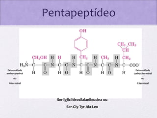Pentapeptídeo

Extremidade
aminoterminal

Extremidade
carboxiterminal

ou

ou

N-terminal

C-terminal

Serilgliciltirosilalanileucina ou
Ser-Gly-Tyr-Ala-Leu

 