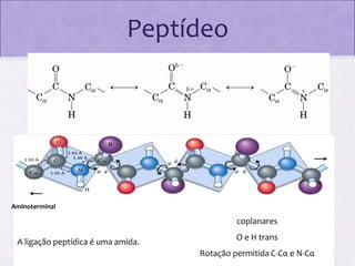 Peptídeo

Aminoterminal

coplanares
A ligação peptídica é uma amida.

O e H trans
Rotação permitida C-Cα e N-Cα

 