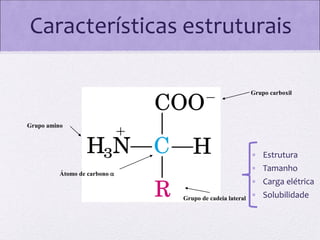 Características estruturais
Grupo carboxil

Grupo amino

• Estrutura
• Tamanho

Átomo de carbono 

• Carga elétrica
Grupo de cadeia lateral

• Solubilidade

 