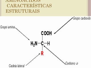 AMINOÁCIDOS
CARACTERÍSTICAS
ESTRUTURAIS
 