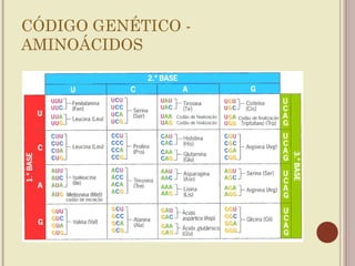 CÓDIGO GENÉTICO -
AMINOÁCIDOS
 