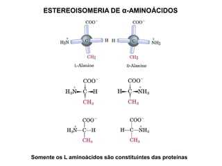 ESTEREOISOMERIA DE α-AMINOÁCIDOS
Somente os L aminoácidos são constituintes das proteínas
 