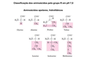 Classificação dos aminoácidos pelo grupo R em pH 7,0
Aminoácidos apolares, hidrofóbicos
 