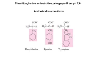 Classificação dos aminoácidos pelo grupo R em pH 7,0
Aminoácidos aromáticos
 