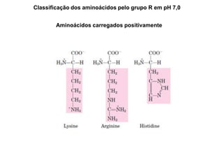 Classificação dos aminoácidos pelo grupo R em pH 7,0
Aminoácidos carregados positivamente
 
