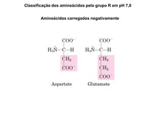 Classificação dos aminoácidos pelo grupo R em pH 7,0
Aminoácidos carregados negativamente
 