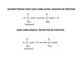 UM SWITTERION PODE AGIR COMO ÁCIDO, DOADOR DE PRÓTONS
AGIR COMO BÁSICO, RECEPTOR DE PRÓTONS
 