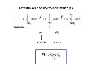 DETERMINAÇÃO DO PONTO ISOELÉTRICO (PI)
pK1 pK2
α-COOH α-NH3
+
PI= pK1+pK2
2
 