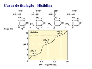 Carga final +2 +1 0 -1
 