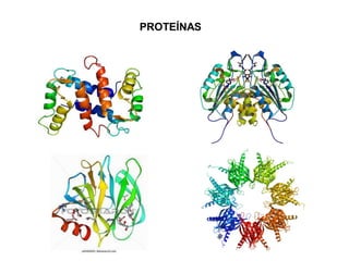 PROTEÍNAS
 