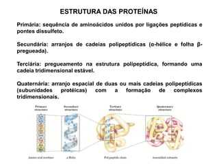 ESTRUTURA DAS PROTEÍNAS
Primária: sequência de aminoácidos unidos por ligações peptídicas e
pontes dissulfeto.
Secundária: arranjos de cadeias polipeptídicas (α-hélice e folha β-
pregueada).
Terciária: pregueamento na estrutura polipeptídica, formando uma
cadeia tridimensional estável.
Quaternária: arranjo espacial de duas ou mais cadeias polipeptídicas
(subunidades protéicas) com a formação de complexos
tridimensionais.
 