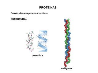 PROTEÍNAS
Envolvidas em processos vitais
ESTRUTURAL
queratina
colágeno
 