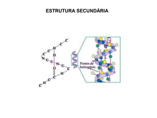 ESTRUTURA SECUNDÁRIA
 