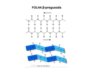 FOLHA β-pregueada
 