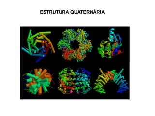 ESTRUTURA QUATERNÁRIA
 