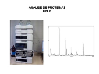 ANÁLISE DE PROTEÍNAS
HPLC
 